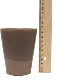 Koffiekopjes - Earth Koffiemok - 310ML - Koffiebeker - Set Van 6 Kopjes - Porselein - Hip En Trendy -Keukenbenodigdheden Winkel 1076x1200