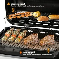 Bighorn Gasbarbecue En Grill – 2 Branders – Zwart -Keukenbenodigdheden Winkel 1200x1200 1077