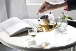 Viva Scandinavia Bjorn Theepot - Glas - Met Filter - 1,2 L - Transparant -Keukenbenodigdheden Winkel 1200x807 1