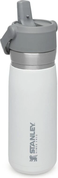 Stanley The IceFlow™ Flip Straw Water Bottle 0,65L - Thermosfles - Charcoal -Keukenbenodigdheden Winkel 396x1200 1
