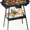 Princess 112247 Elektrische Barbecue – BBQ - Met En Zonder Statief Te Gebruiken - 47x28cm - 2000W