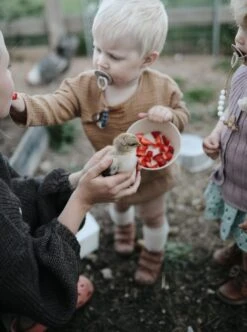 Siliconen Kommen - Mushie - Woodchuck - Set 2 -Keukenbenodigdheden Winkel 894x1200